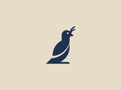 Auklet Mark auklet bird bold branding clean geometric identity logo mark quiet