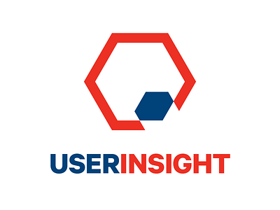 User Insight