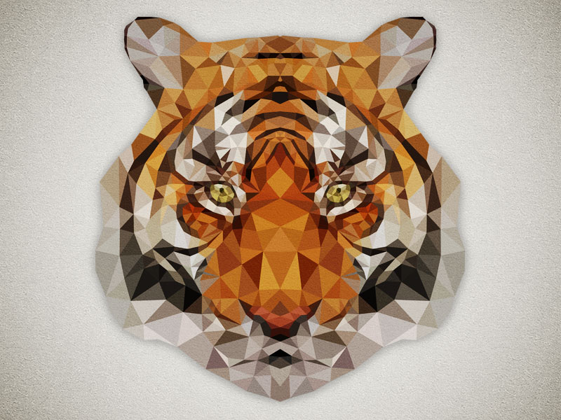 Awesome Tigers by Nathan Lindblad on Dribbble