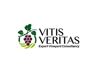 VitisVeritas graphic design logo vector