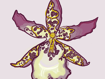 Orchid design drawing graphic design illustration