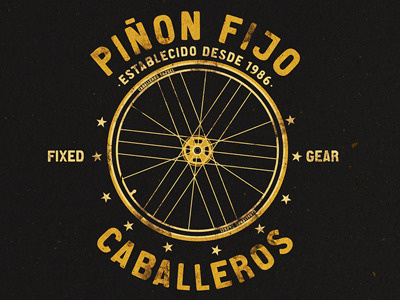Piñon Fijo 1986 bicycle bike fixed logo