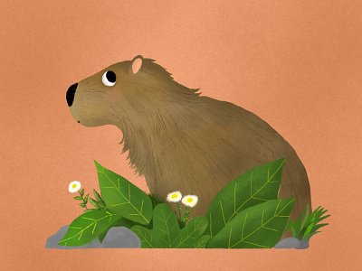 Capybara illustration