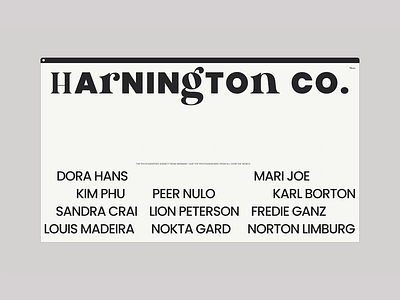 Harnington Co. | Webdesign & Webdevelopment agency animation art clothing design fashion photographer photography responsive ui webdesign
