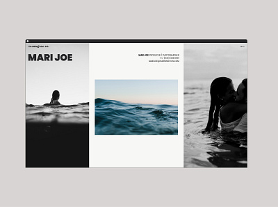 Harnington Co. Webdesign & Webdevelopment agency animation branding combine design ocean photographer photography sans serif sea serif ui webdesign