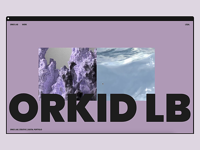 ORKID LAB UI&UX React Webdevelopment 3d animation branding design fashion illustration ui ux webdesign