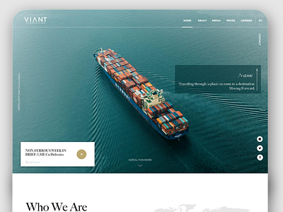 VIANT commodities Website design