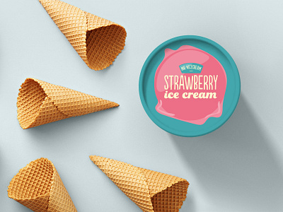 Mr Nicecream branding design ice cream illustration logo packaging