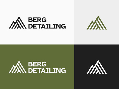 Berg Detailing Logo Design brand branddesign branding cardetailing carshop logo logodesign