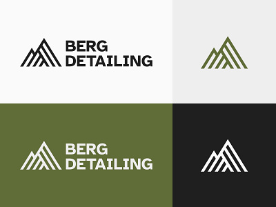 Berg Detailing Logo Design