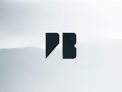 PB I branding design illustration letters logo typedesign typography