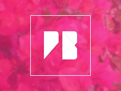Pb III brand design identity illustration letter type typedesign