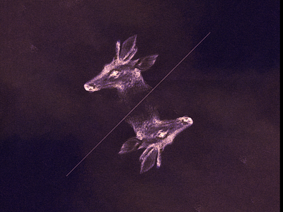 DEER | COVER ART