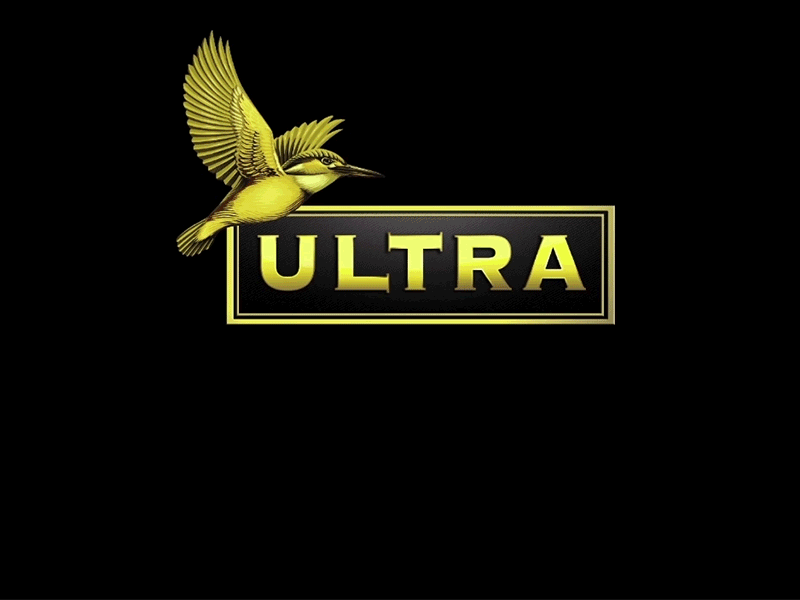 Ultra Shorts Logo & Animation short films tv kingfisher premium gold typography handmade signature animation logo