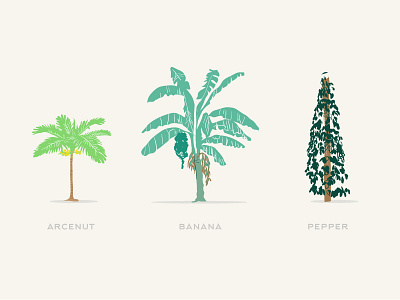 Trees Of India arcenut banana farmer fruit india indian minimal pepper trees vector vegetable