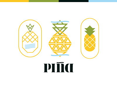 PINA Logo Concepts branding graphic graphicdesign icon icondesign identity identitydesign logo logodesign vector