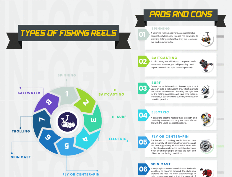 infographics for Type Of Fishing Reels animation catalog design catalogue design design illustration infographic logotype typography vector