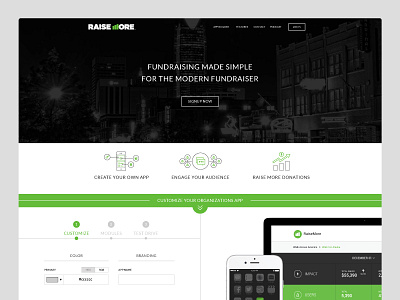 Raisemore Website app custom dashboard fundraising icons minimal simple store ui user interface web website