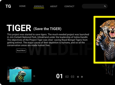 Tiger webdesign animation branding design icon illustration logo typography ui ux website