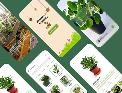 Indoor plant garden design fresh colors fresh design illustration indoor makeover layoutdesign logo nature plant app planting plants typography ui website