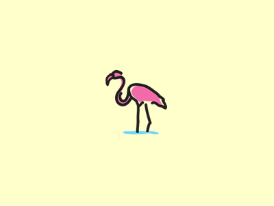 Flamingo trip