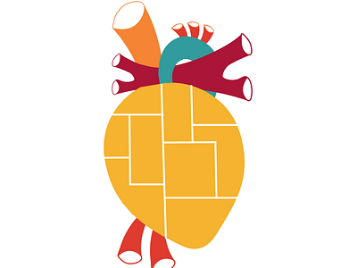 Heart biology illustration vector