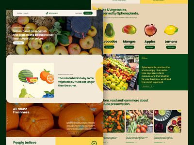 Fruits Preservation Website Landing Page Design agency design fruits landing page landingpage ui ux web ui