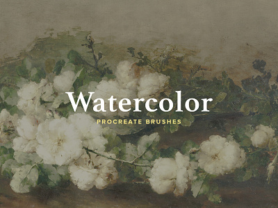 Watercolor Procreate Brushes app brush brushes download ipad lettering palette procreate splatter watercolor