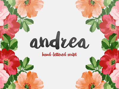 Freebie: Andrea Script font free freebie hand drawn pixelbuddha script