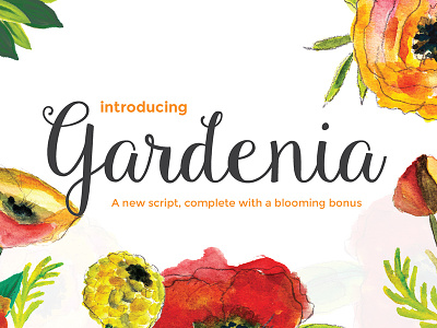 Freebie: Gardenia Script font free freebie hand drawn pixelbuddha script