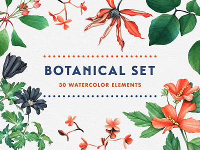 Botanical Garden Watercolor Set botanical download flowers garden herbal illustrations nature watercolor