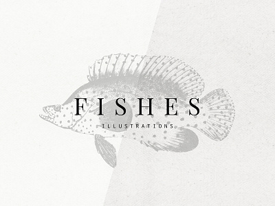 Fishes Illustrations Vector Set clip art clipart download fish graphic illustration ocean pixelbuddha sea set vector vintage
