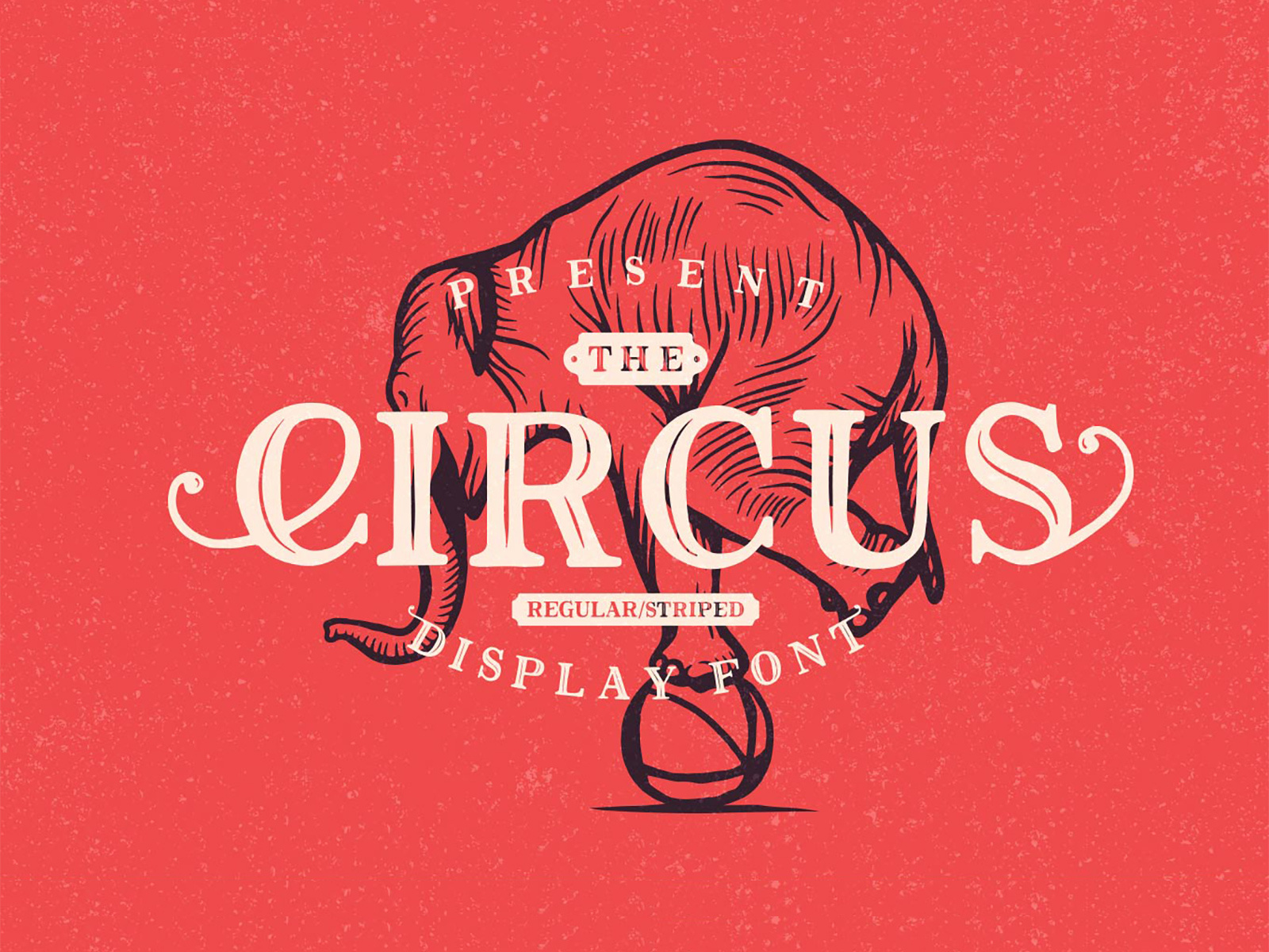 Freebie The Circus Display Font by Pixelbuddha on Dribbble
