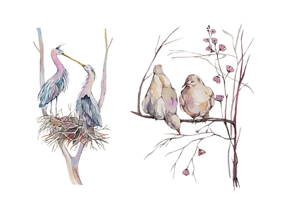 Freebie: Spring Garden Watercolors birds floral frames free freebie garden herbal illustration illustrations pixelbuddha spring watercolor wreaths