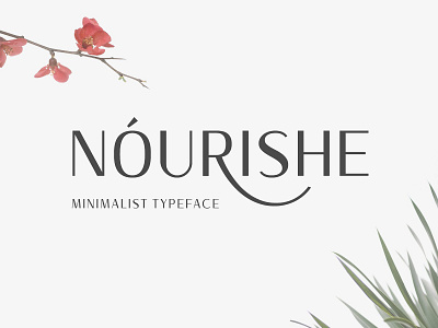 Nourishe Sans Serif Font display download font lettering minimal monoline plus sans serif serif typeface typography