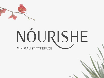 Nourishe Sans Serif Font