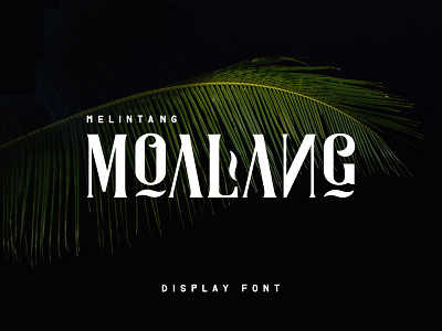 Freebie: Moalang Display Font display elegant font free freebie modern pixelbuddha typeface