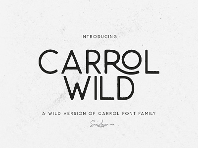 Carrol Wild Sans Serif Typeface download font grotesk modern pixelbuddha sans sans serif typeface vintage