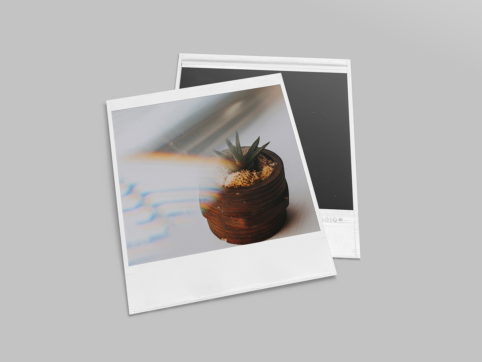 Download Realistic Polaroid Mockup Set by Pixelbuddha on Dribbble