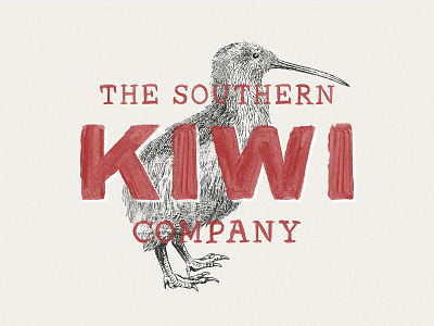 36 Engraved Bird Illustrations bird birds clipart download illustrations kiwi logo pixelbuddha vector vectors