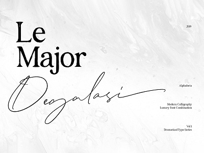 Degalasi Script Font download duo elegant feminine font hand lettered handwritten ligature modern script serif stylish typeface