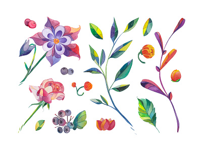 Watercolor Flower Clipart designs, themes, templates and downloadable  graphic elements on Dribbble