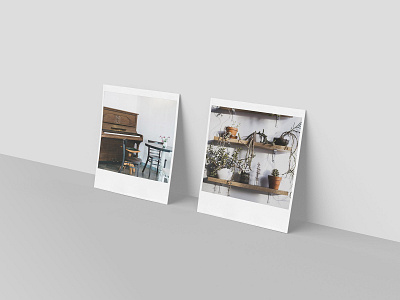 Realistic Polaroid Mockup Set download mockup mockups photo pixelbuddha polaroid psd realistic