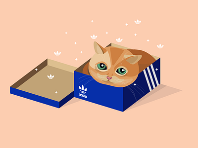 7 Days 7 Cats - day 3 adidas blue cat cute illustration love orange original seven sport