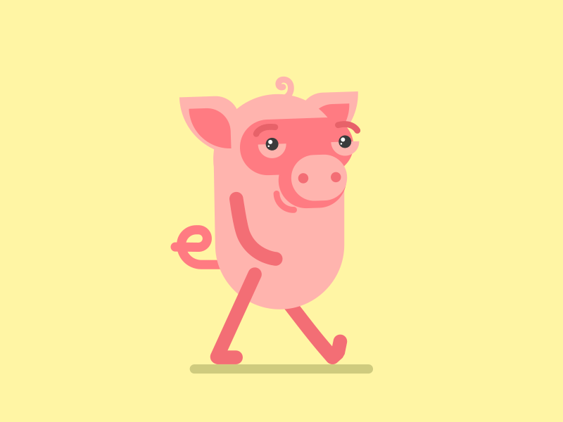 Mr. Pig ae aftereffects animation app character go pig pink yellow