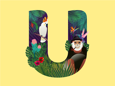 Letter "U" for 36 days of type project 36daysoftypes art behance bird colibri floral illustration monkey u vector