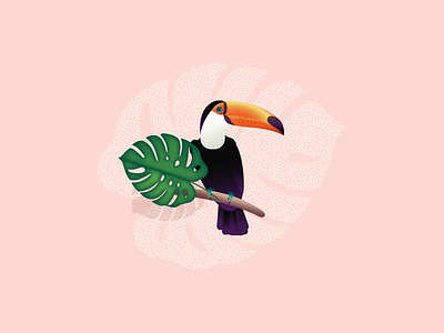 Character for Coffee Package bird character clean coffee floral illustration instagram package pattern toucan vector wip