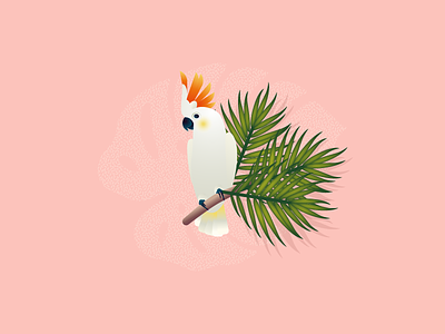 Character for Coffee Package part 3 bird character clean coffee floral illustration instagram package parrot pattern vector wip