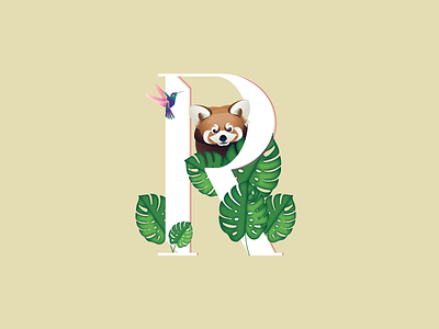 R - Red Panda character clean coffee floral illustration instagram letter package panda pattern red vector