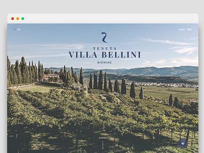 Tenuta Villa Bellini Website artdirector branding shooting webdesign wine